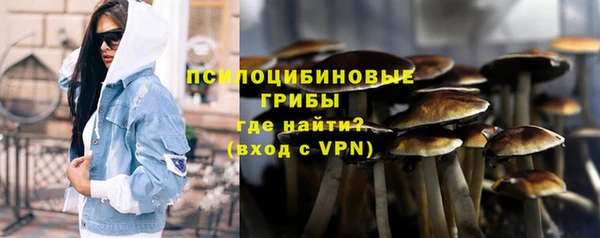 МДПВ Гусиноозёрск