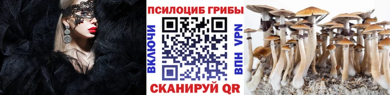 кракен рабочий сайт  Чёрмоз  Галлюциногенные грибы Psilocybine cubensis  где купить наркоту 